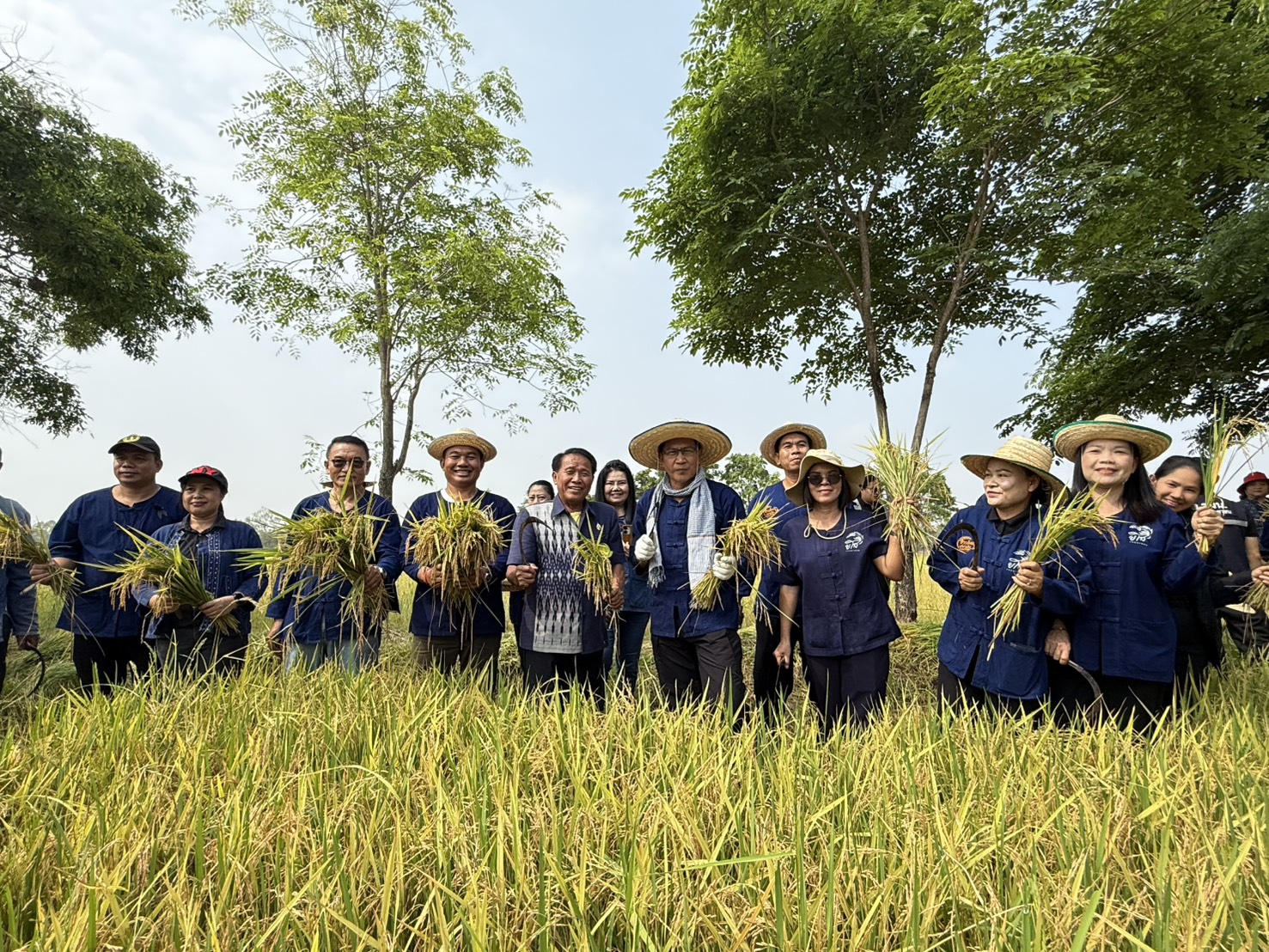 title - ส.ป.ก.ยโสธร ร่วมกิจกรรมเกี่ยวข้าว ภายใต้โครงการปลูกข้าวเฉลิมพระเกียรติ พระบาทสมเด็จพระเจ้าอยู่หัวฯ เนื่องในโอกาส มหามงคลเฉลิมพระชนมพรรษา 74 พรรษา